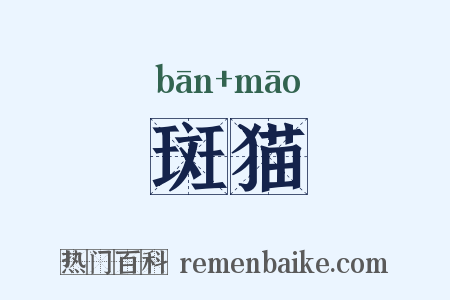 斑猫是什么意思的图片